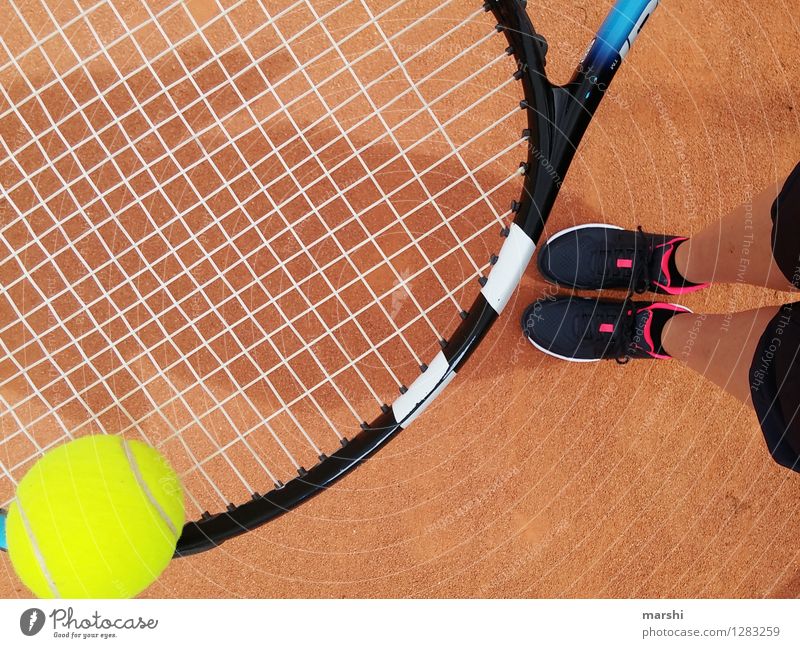 tennis training Leisure and hobbies Playing Sports Fitness Sports Training Ball sports Sportsperson Success Sporting Complex Human being Feminine Legs 1