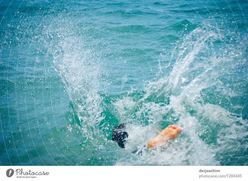 "Summer" at its best, Fun in the Pacific, Little water bomb in the ocean. Athletic Life Contentment Swimming & Bathing Aquatics Young man Youth (Young adults)