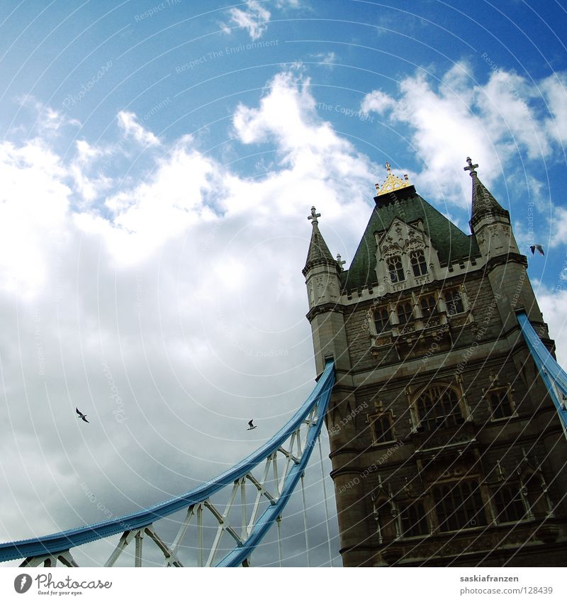 London Calling. England Great Britain Tower Bridge Landmark Drawbridge Bird Clouds Bad weather Vacation & Travel Might Sky Sun