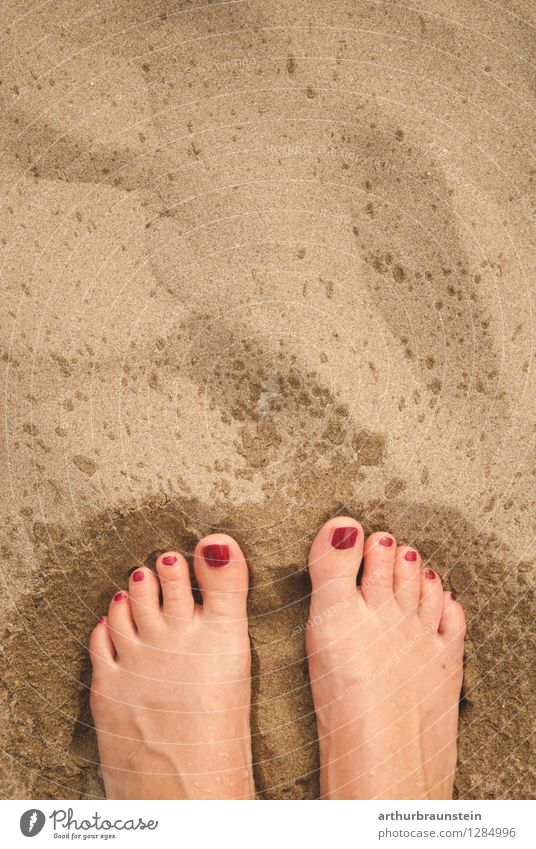 From the sea to the beach Lifestyle Beautiful Personal hygiene Pedicure Nail polish Leisure and hobbies Vacation & Travel Summer Sun Beach Ocean