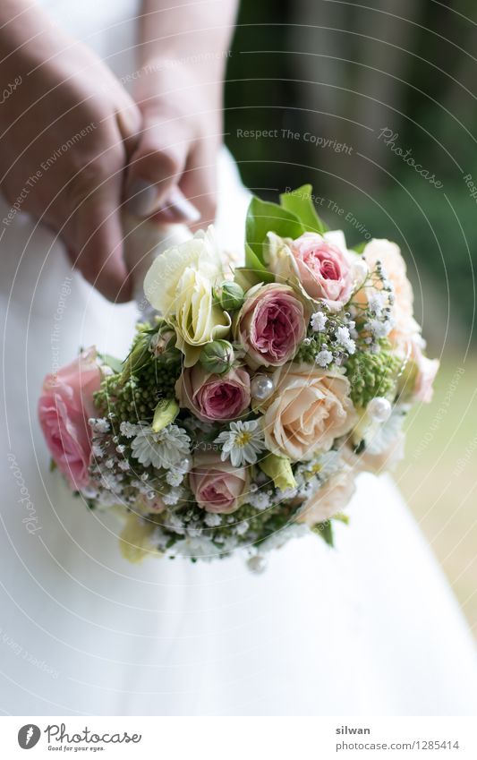 bridal bouquet Wedding Hand Rose bouquet of roses Bouquet Blossoming Esthetic Beautiful Uniqueness Warmth Yellow Violet White Anticipation Fragrance Elegant