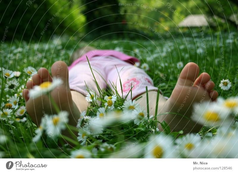 chill Relaxation Calm Summer Girl Feet Spring Warmth Meadow To enjoy Lie Yellow Green Pink White Comfortable Peace Goof off Toes Daisy Summery Barefoot Lawn