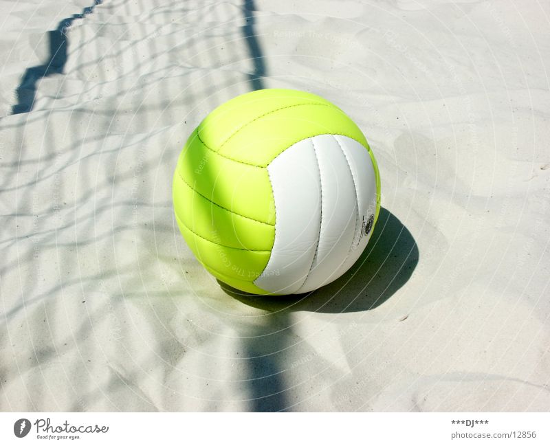 Volleyball is in... Field Playing Leisure and hobbies Open-air swimming pool Sports Volleyball (sport) Sand Sun Joy Shadow