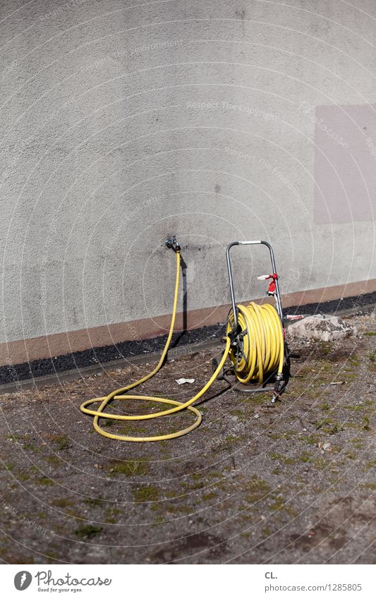 hose Summer Climate Climate change Weather Warmth Meadow Wall (barrier) Wall (building) Hose Gloomy Yellow Gray Drought Colour photo Exterior shot Deserted