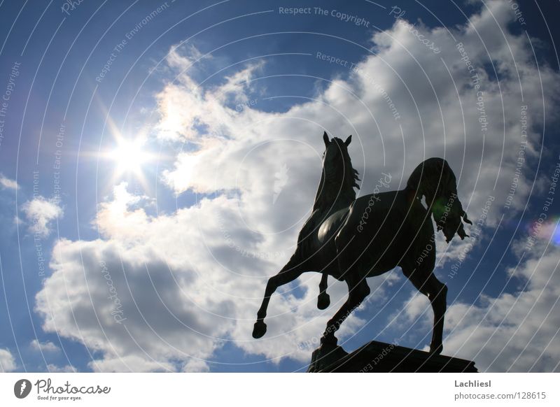 Welfenross Elegant Freedom Sun Academic studies Art Animal Sky Clouds Warmth Tourist Attraction Landmark Monument Horse Speed Soft Blue White
