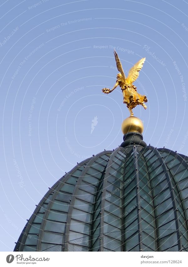 Angels fly! Domed roof Dresden Saxony Academic studies Building Roof Glass roof Historic Landmark Monument Flying art academy Gold Wing Freedom fly away