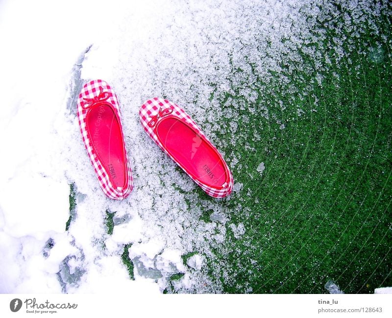 missed the summer Red White Green Spring Summer Winter Checkered Footwear Pattern Meadow Contrast transitional weather scch grinding improper transition shoe