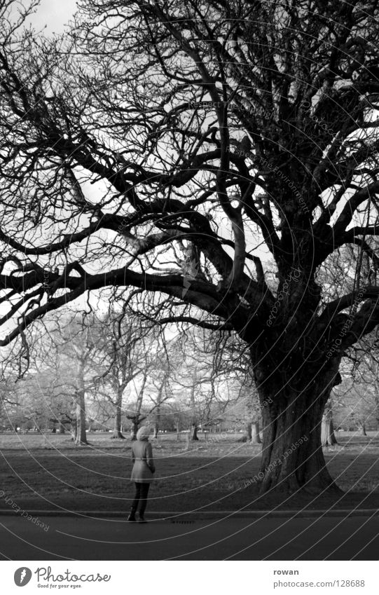 girl and tree Tree Woman Park Winter Small Branchage Stay Black & white photo To go for a walk Life Calm Old Twig Tree trunk Marvel Nature