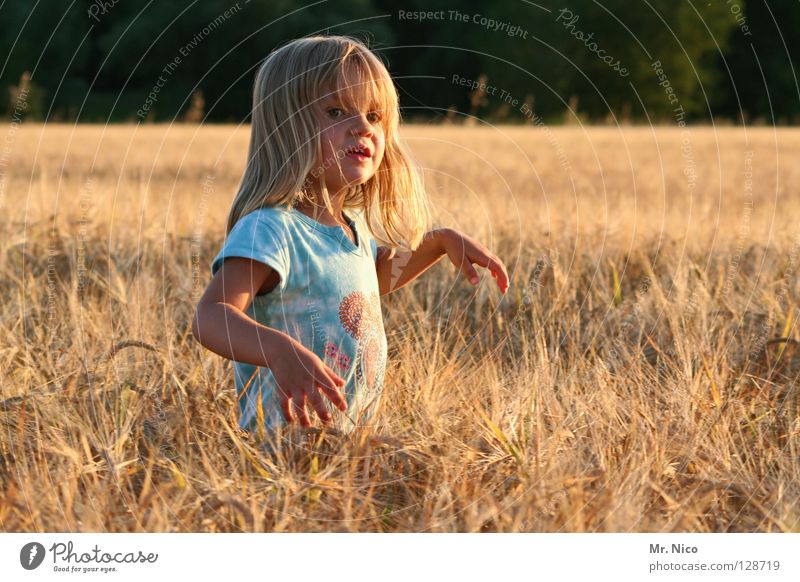 girlie already Well-being Far-off places Summer Child Agriculture by hand Beautiful weather Warmth Field T-shirt Blonde Long-haired Stand Bright Cute Soft