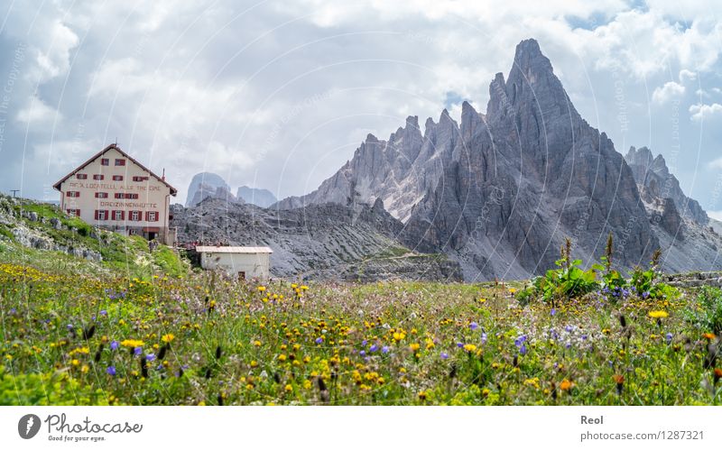 Three Peaks Hut II Vacation & Travel Tourism Trip Mountain Hiking Environment Nature Landscape Sky Clouds Summer Beautiful weather Flower Meadow Rock Alps