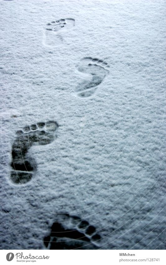 Homo Sapiens Footprint Barefoot Cold Freeze Extract Forwards March Hiking Pursue Winter White Shoot Impression Animal tracks In transit Poverty Toes 5 10 15 20