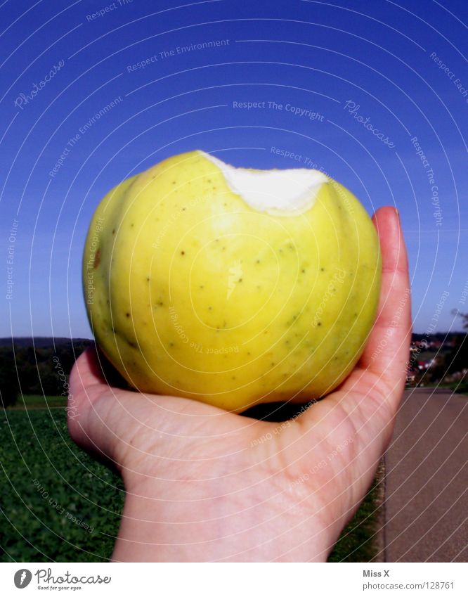 big apple Colour photo Exterior shot Day Fruit Apple Nutrition Hand Sky Green apple green Harvest Bite Eating