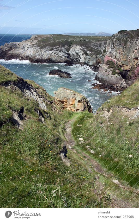 Coast Path Hiking Landscape Beautiful weather Rock Bay Ocean Anglesey Wales Power Brave Pure Lanes & trails Far-off places Surf Colour photo Exterior shot