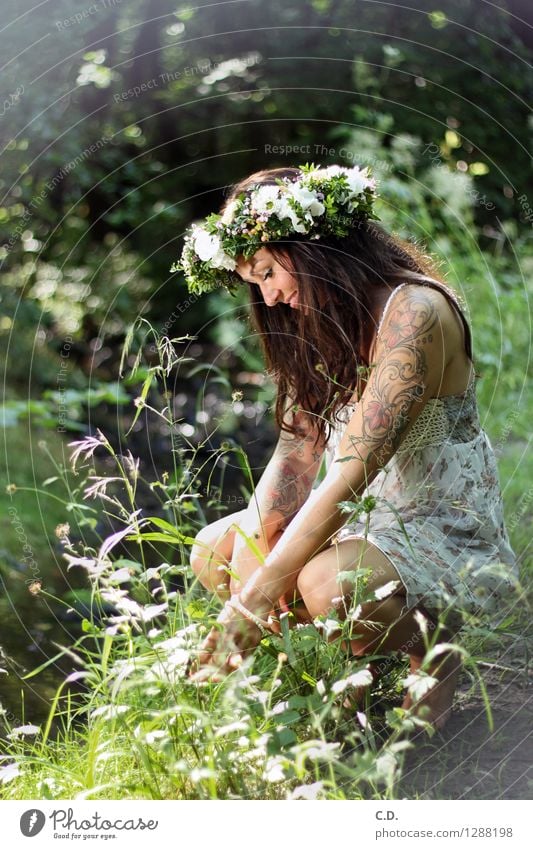 forest fairy Young woman Youth (Young adults) 18 - 30 years Adults Environment Nature Grass Bushes Forest Dress Brunette Long-haired Friendliness Happiness