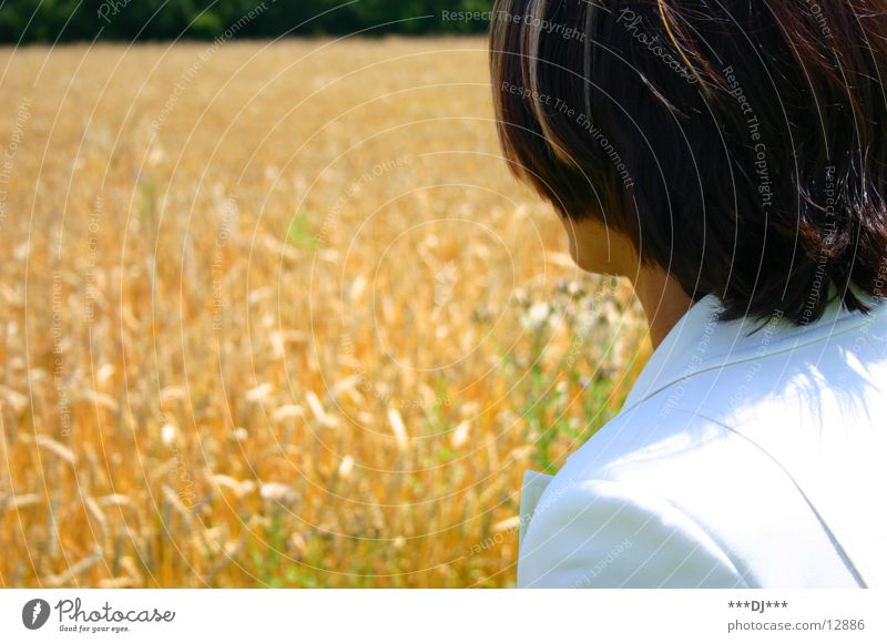 Where the hell is he? Woman Field Wheat Ear of corn Search Pantsuit Looking Harvest