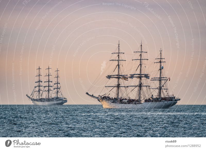Sailing ships on the Hansesail Relaxation Vacation & Travel Tourism Water Clouds Baltic Sea Navigation Maritime Yellow Red Romance Idyll Hanse Sail Windjammer