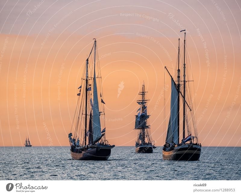 Sailing ships on the Hansesail Relaxation Vacation & Travel Tourism Water Clouds Baltic Sea Navigation Maritime Yellow Red Romance Idyll Hanse Sail Windjammer
