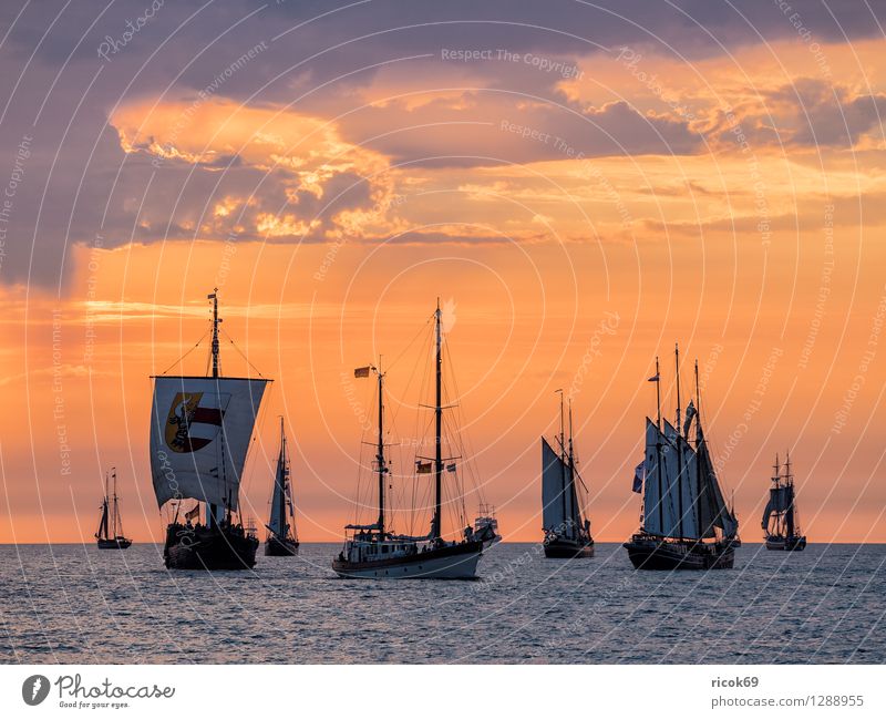 Sailing ships on the Hansesail Relaxation Vacation & Travel Tourism Water Clouds Baltic Sea Navigation Maritime Yellow Red Romance Idyll Kitsch Hanse Sail