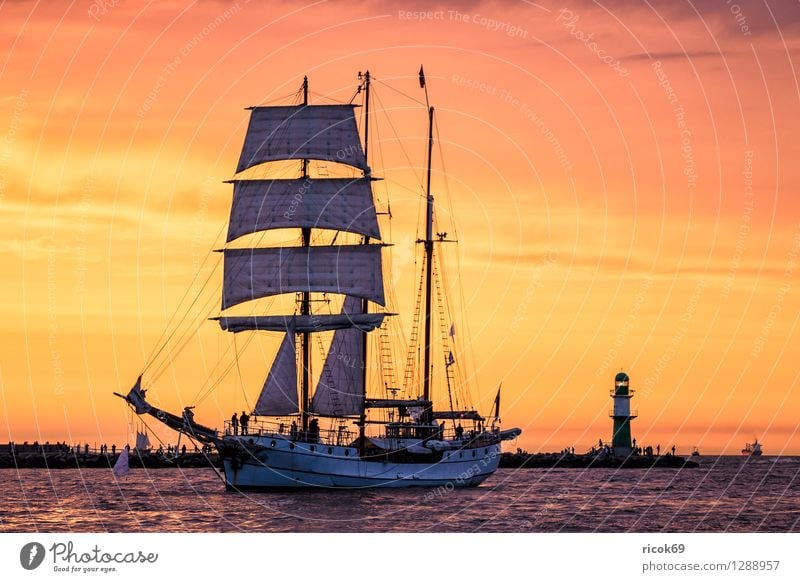 Sailing ship on the Hansesail Relaxation Vacation & Travel Tourism Water Clouds Baltic Sea Lighthouse Navigation Maritime Yellow Red Romance Adventure Idyll