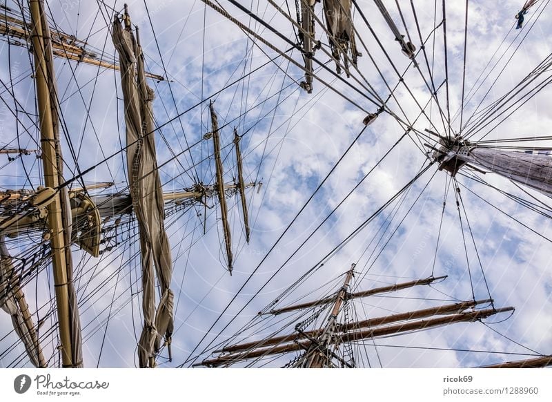 Sailing ship on the Hansesail Relaxation Vacation & Travel Tourism Clouds Baltic Sea Navigation Maritime Romance Idyll Hanse Sail Windjammer Rigging mast