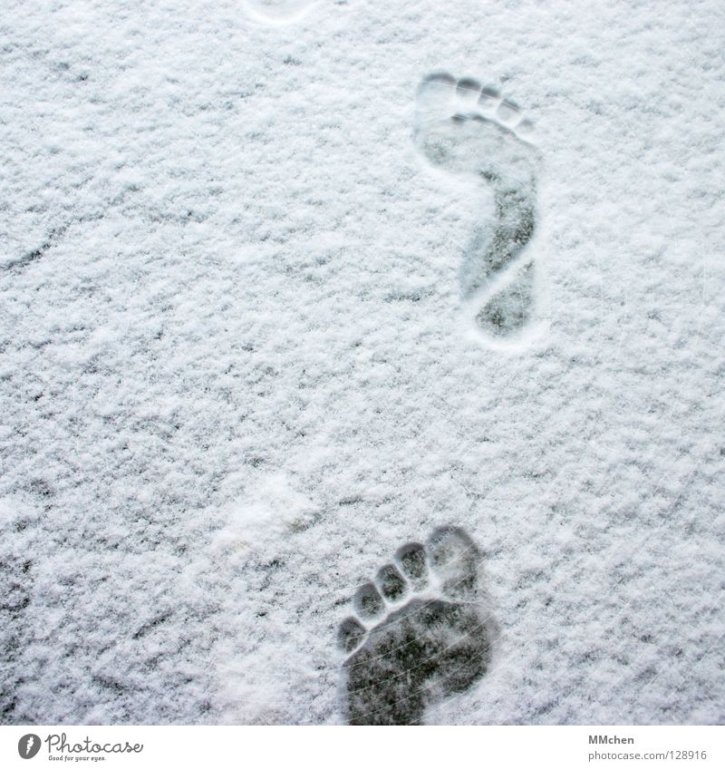 forwards Footprint Barefoot Cold Freeze Extract Forwards March Hiking Pursue Winter White Shoot Impression Animal tracks In transit Poverty Toes 5 10 15 20 Snow