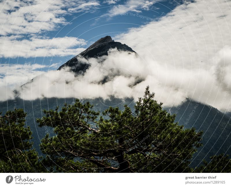 Cloudy Mountain Environment Nature Landscape Animal Air Sky Clouds Spring Summer Beautiful weather Plant Tree Alps Peak To enjoy Blue Multicoloured Green Silver