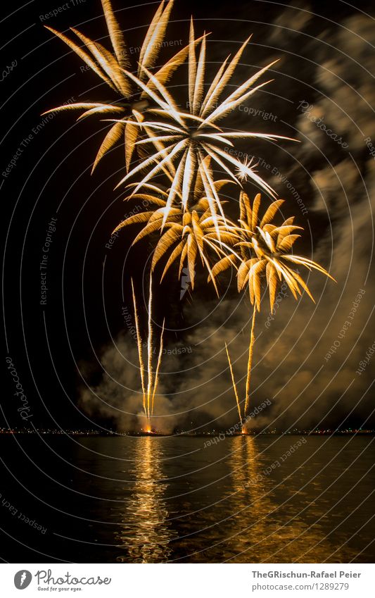 fireworks Art Artist Work of art Stage play Yellow Gold Orange Black Silver White Firecracker Smoke Palm tree Ignite Rocket Dirty Water Reflection Light Lake