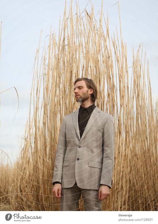 suit 01 Man Field Cornfield Suit Men's fashion Gray Facial hair Thin Chic Masculine Closed eyes Rye Barley Wheat Exterior shot Portrait photograph Clothing