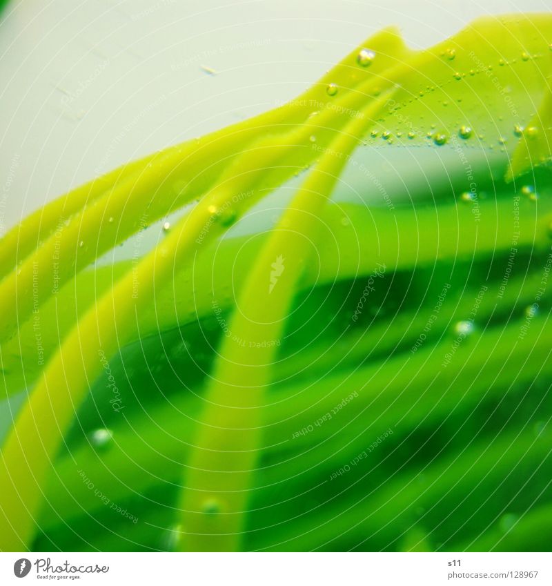 ((( Pattern Cross Crossed Green Yellow Light Lighting Fragile Art Shard Transparent Air bubble Beautiful Arts and crafts  Decoration Macro (Extreme close-up)