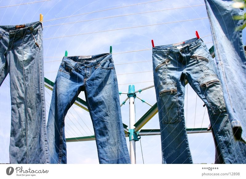hanging pants Pants Laundry Hang Dry Clothesline Spider Leisure and hobbies Jeans Sky Blue denim Washing Washing day