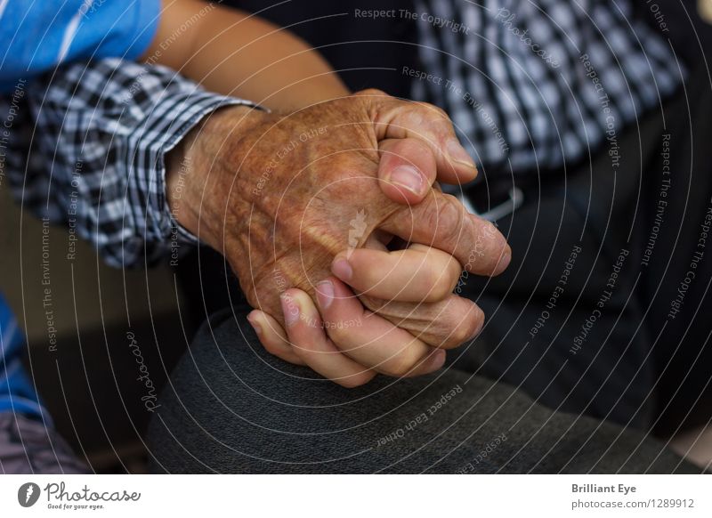 Old and young inseparable Summer Human being Child Boy (child) Male senior Man Grandparents Senior citizen Grandfather Family & Relations Hand Fingers