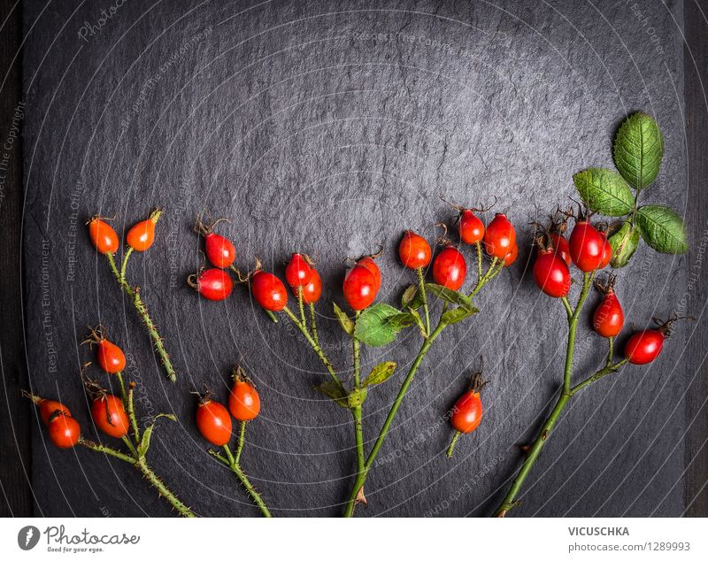 Rosehip fruits on a dark background Food Fruit Style Design Healthy Alternative medicine Life Table Nature Plant Autumn Leaf Wild plant Retro Background picture