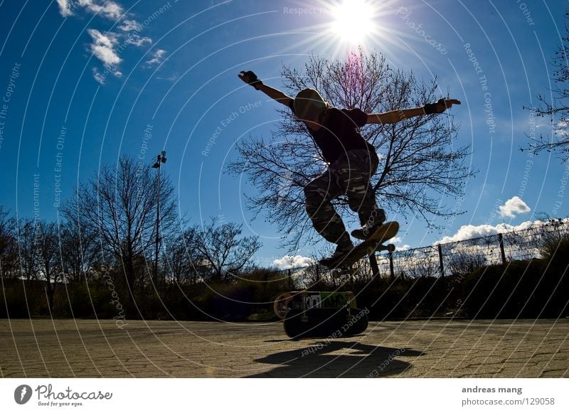 2 Decks Ollie Skateboarding Jump Style Action Extreme Sky Tree Radiation Fence Parking lot Tall Extreme sports Coil Flying fly Sports blue trees Sun beam boy