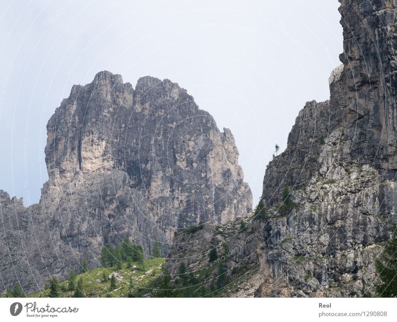 jagged Climbing Mountaineering Environment Nature Landscape Elements Earth Sky Clouds Summer Fir tree Rock Alps Dolomites South Tyrol Peak Sparse Steep face
