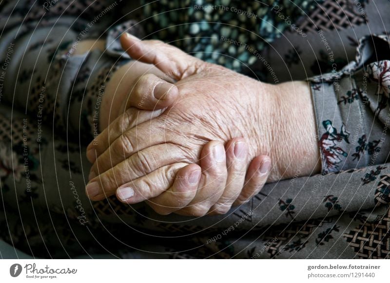 old hands Human being Feminine Woman Adults Female senior Grandmother Hand 1 60 years and older Senior citizen Old Soft Gray Loyalty Help Responsibility