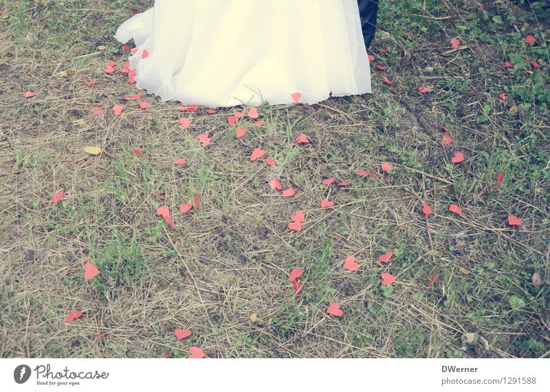 Wedding II Lifestyle Elegant Style Design Happy Masculine Feminine Young woman Youth (Young adults) Young man Couple Legs 2 Human being Beautiful weather Grass