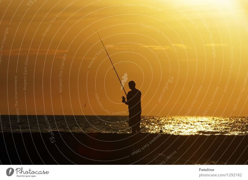 They don't bite today! Human being Masculine Man Adults Life 1 Environment Nature Elements Water Sky Clouds Summer Beautiful weather Coast North Sea Ocean