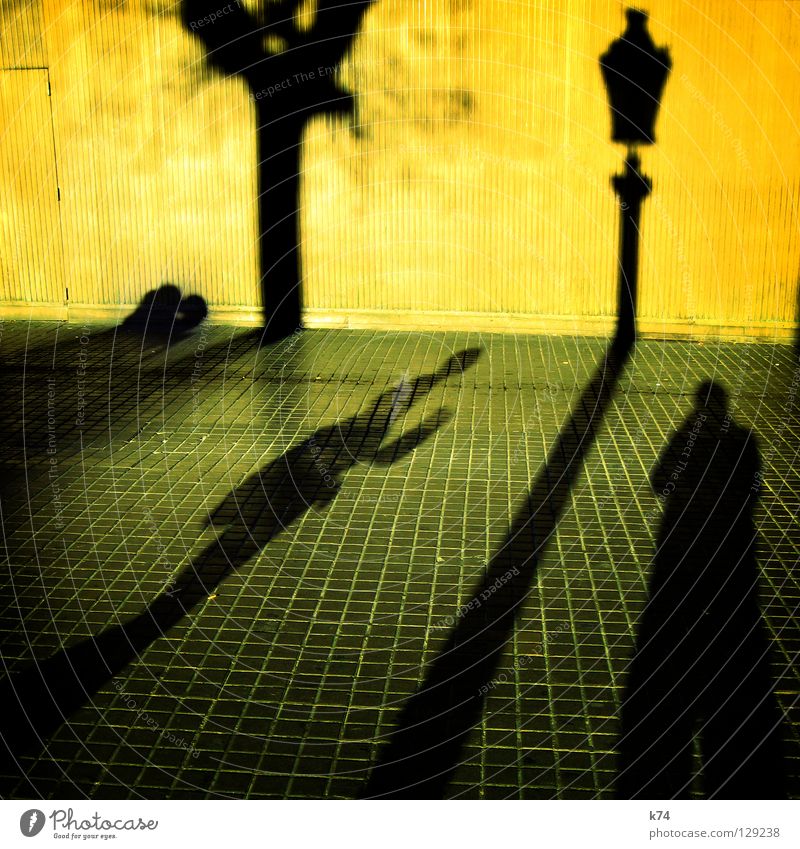 shadow Human being Wall (building) Yellow Gray Tree Lantern Light Kissing Embrace Town Going Traffic infrastructure Shadow Couple street green grey Contrast Sun