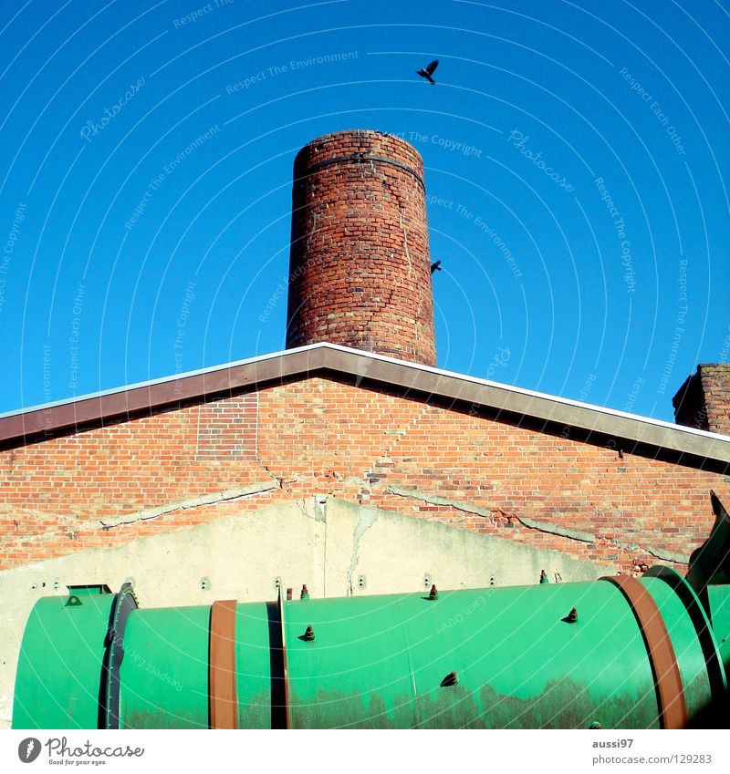 rook Industrial heritage Play of colours Green trash can Masonry Rook Crow Industry Historic industrial romance Chimney stonewalled Burn