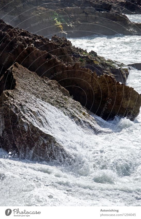 Return flow I Environment Nature Landscape Elements Water Summer Storm Rock Waves Coast Bay Ocean Atlantic Ocean Rabat Morocco Stone Dark Bright Wet Brown Black