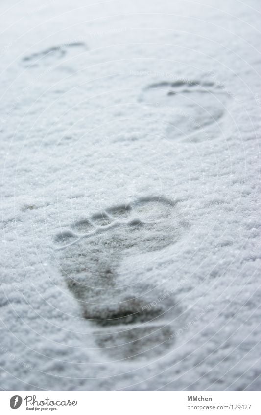 leave traces Footprint Barefoot Cold Freeze Extract Forwards March Hiking Pursue Winter White Shoot Impression Animal tracks In transit Poverty Toes 5 10 15 20