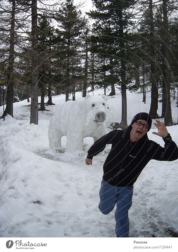 bear hunting Polar Bear Panic Switzerland Wilderness Winter Hunting Escape Fear Snow Frightening Going snow sculpture Tobias Running
