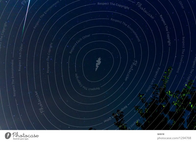 Perseids? I don't give a damn! Night life Environment Nature Sky Night sky Stars Infinity Emotions Happy Anticipation Hope Belief Fear of the future Disbelief