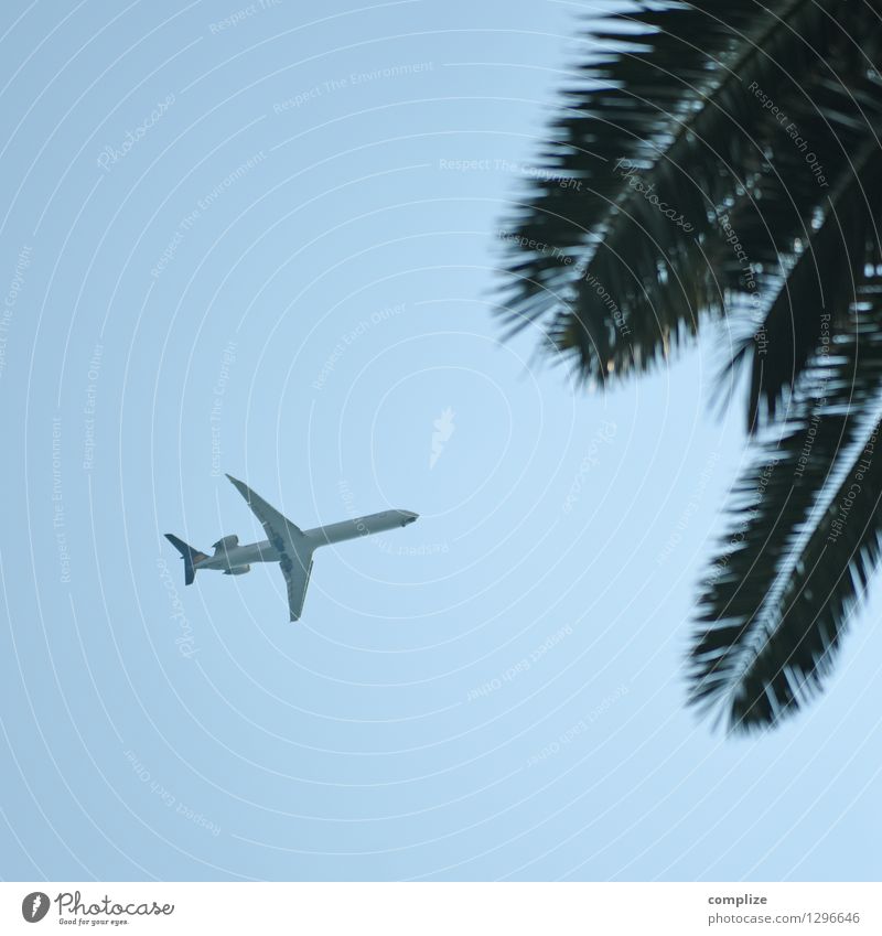 Airplane approaching a tropical island . Sea sun palm trees