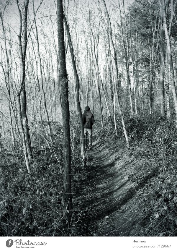 sex offender Gray Forest Tree Pursue Footpath Leaf Branchage Black & white photo Guy Walking cloudy Lanes & trails