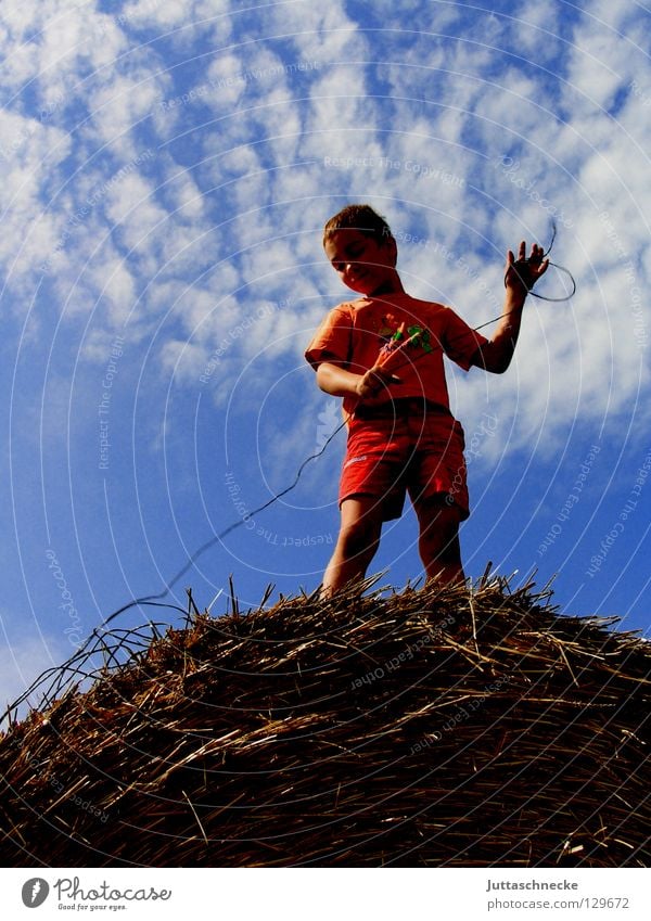 Tie the earth to the sky Boy (child) Child Straw Hay bale Bale of straw Field Clouds Looking Wire Playing Stand Summer Success Nature Sky Blue Above Downward