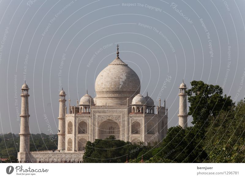 Taj Art Work of art Architecture Manmade structures Tourist Attraction Landmark Monument Famousness White Love Esthetic Vacation & Travel Taj Mahal Agra India