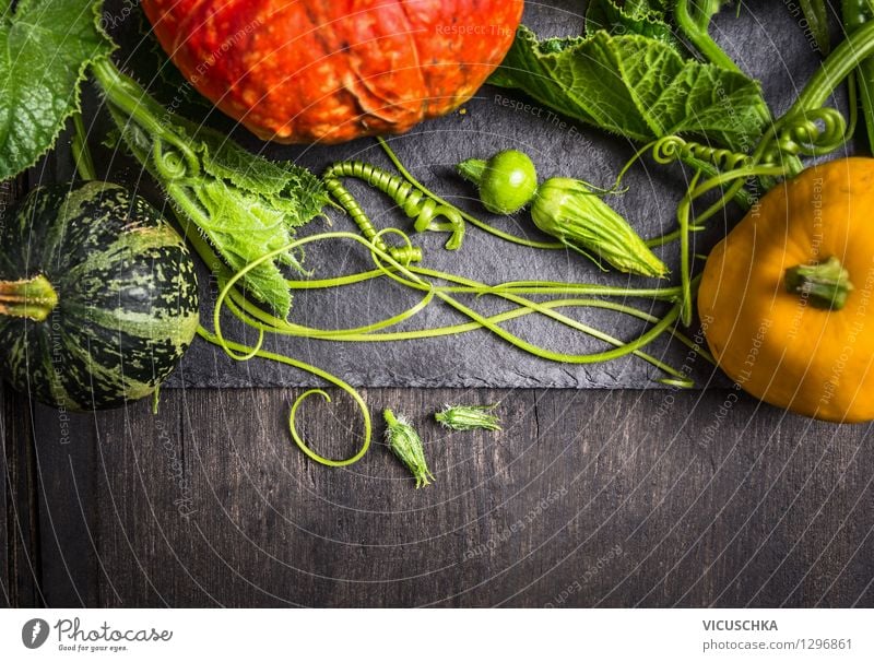 Colourful pumpkins on a dark wooden table Food Vegetable Nutrition Organic produce Vegetarian diet Diet Style Design Healthy Eating Life