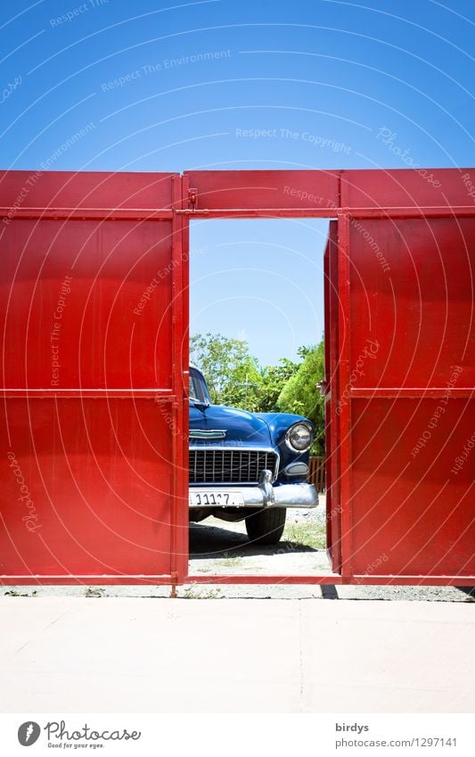 Colors of Cuba Lifestyle Exotic Cloudless sky Beautiful weather Door Main gate Car Vintage car Limousine Esthetic Exceptional Historic Positive Rebellious Blue