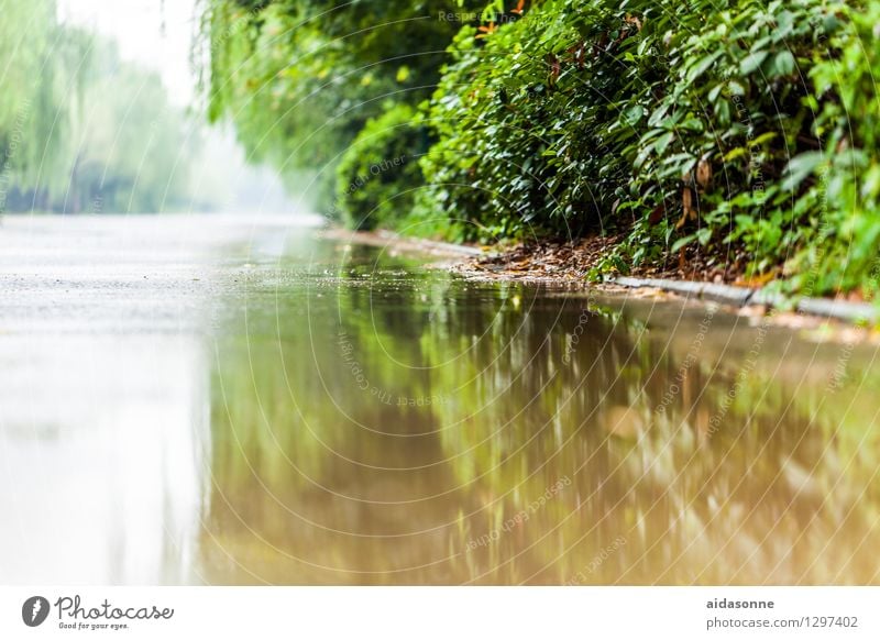 wet road Town Deserted Traffic infrastructure Street Puddle Mysterious Nature Environment Reflection Water reflection Colour photo Day